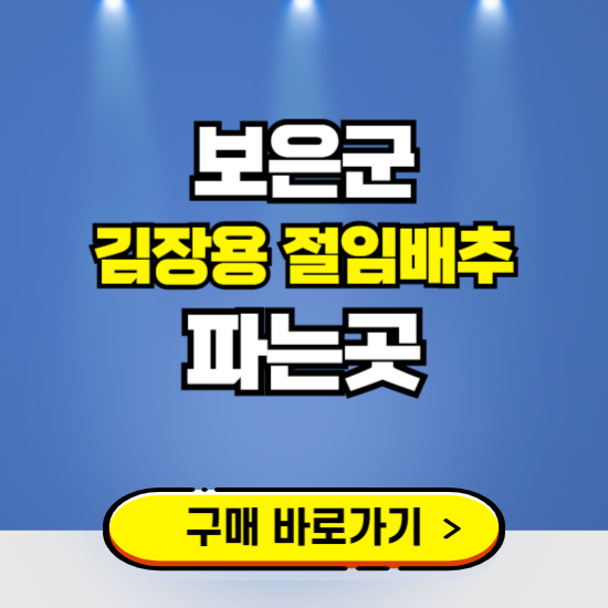 보은군 절임배추 사전예약 구입하는곳 ❘ 김장배추 파는곳 가격보기