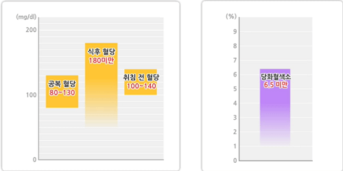 당뇨환자 혈당관리