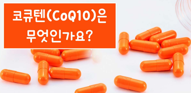 coq10 효능