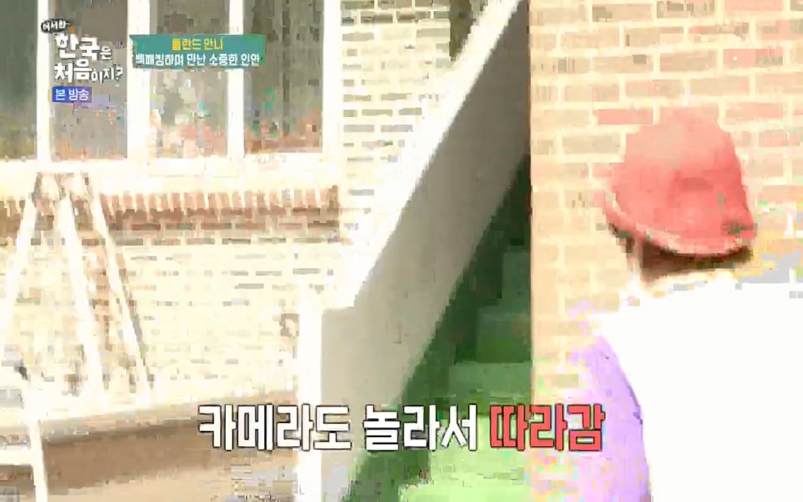 어서와 한국은 처음이지 시즌2.E210.220513p-NEXT.mp4_20220513_200051.244.jpg