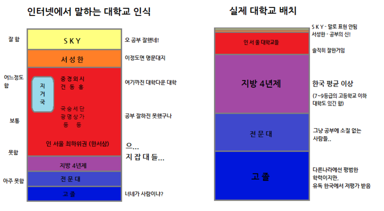 국평오-대학