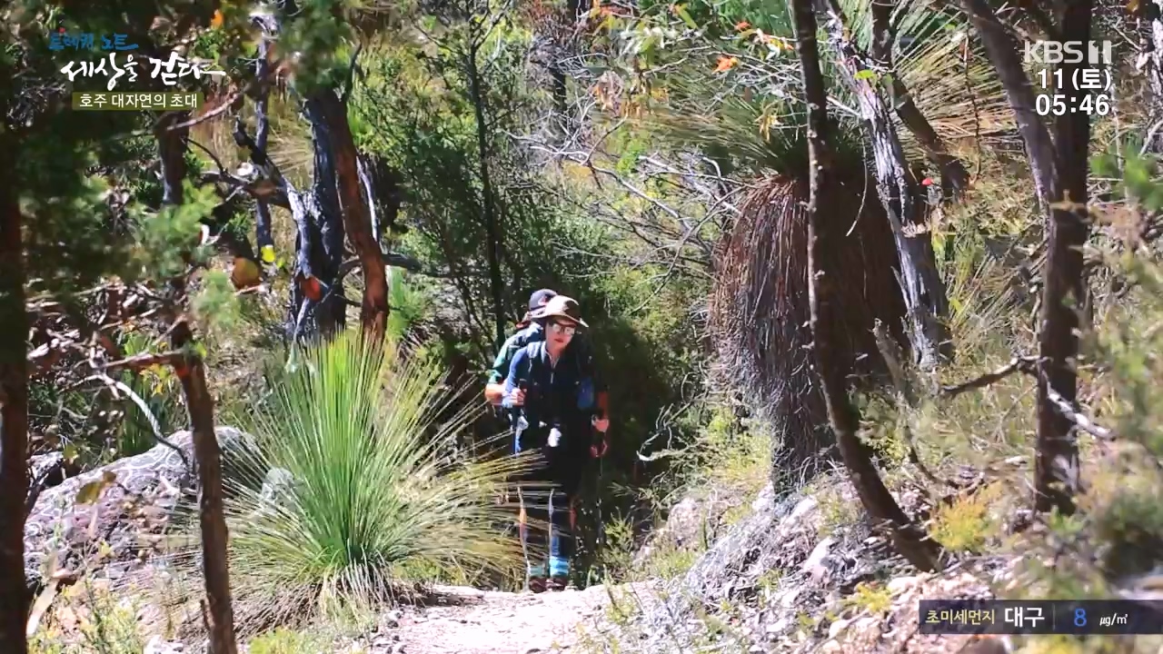 트레킹노트 세상을 걷다.E296.231112p-NEXT.mp4_20231111_182057.152.jpg