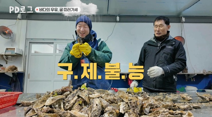 PD로그-통영-굴양식장