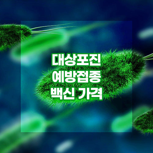 대상포진 백신 가격
