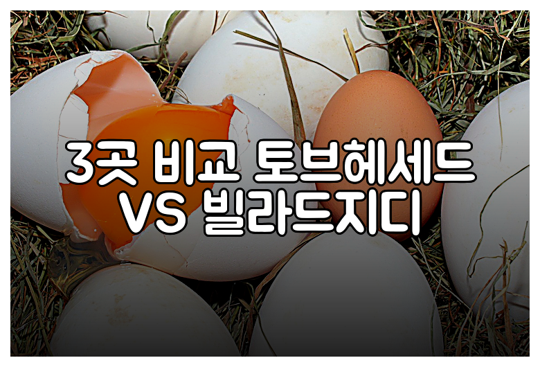 3곳 비교 토브헤세드 VS 빌라드지디