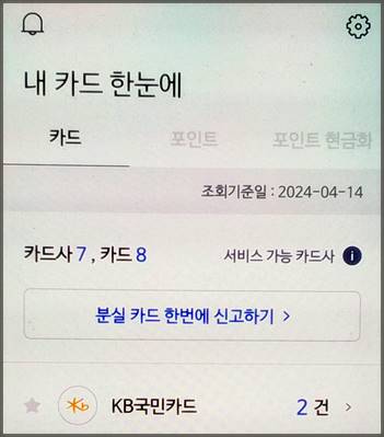 내 카드 한눈에 확인 화면