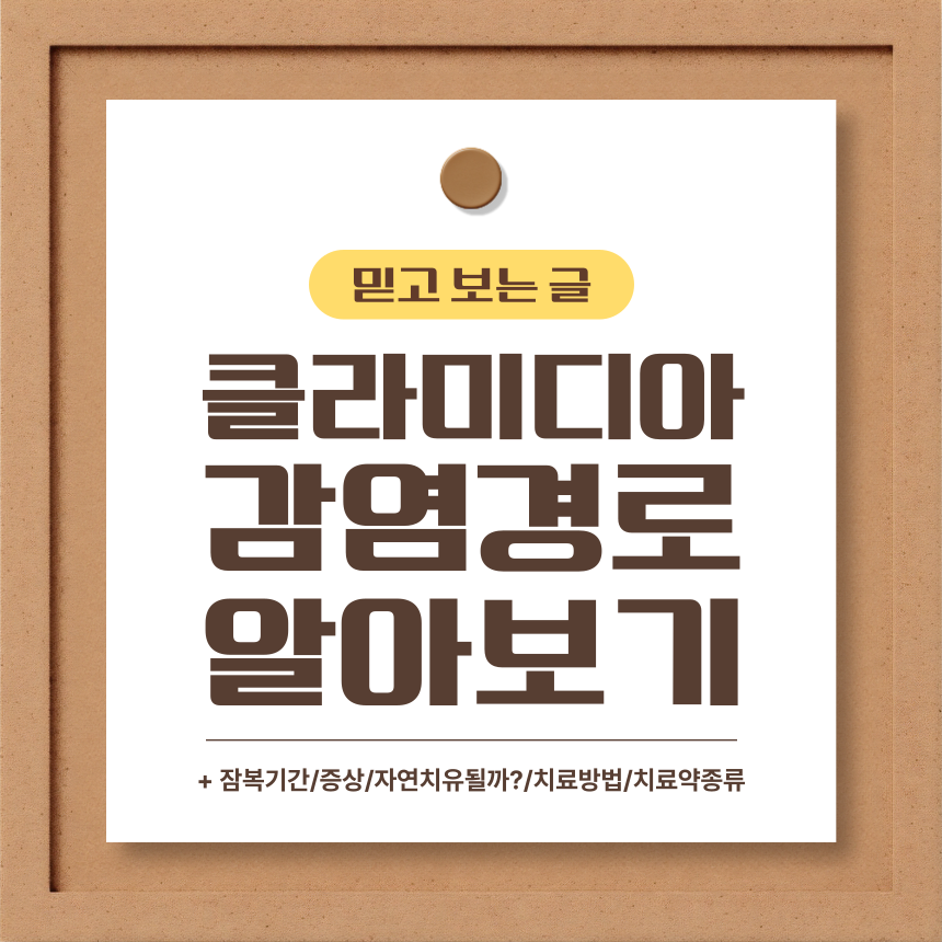  클라미디아 감염 경로 알아보기