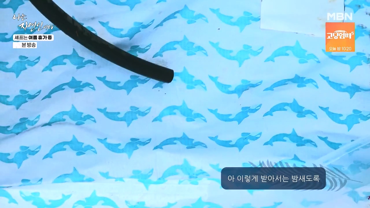 나는 자연인이다.E611.240627p-NEXT.mp4_20240627_195605.161.jpg