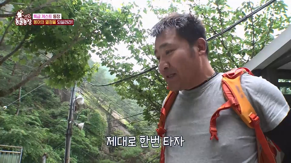 TV 동물농장.E1128.230709p.H264-F1RST.mp4_20230709_183530.538.jpg