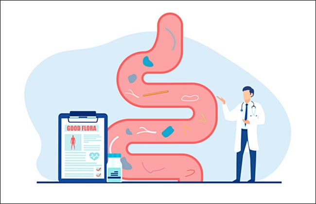 아라한과 효능 6