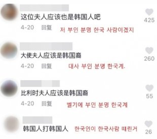  ‘폭행 물의’ 벨기에대사 부인에 “한국인”이라는 中누리꾼