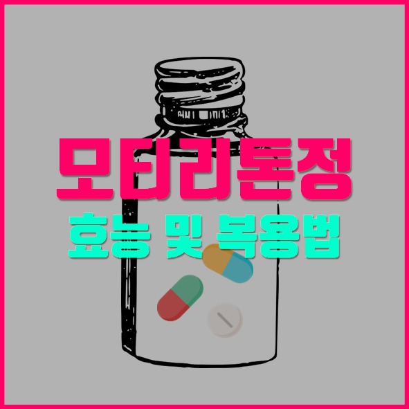  모티리톤정 의약품 정보 확인하세요
