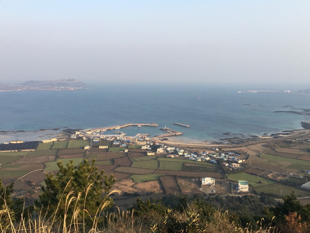  [제주오름] 성산일출봉, 우도가 한눈에 보이는 지미오름!
