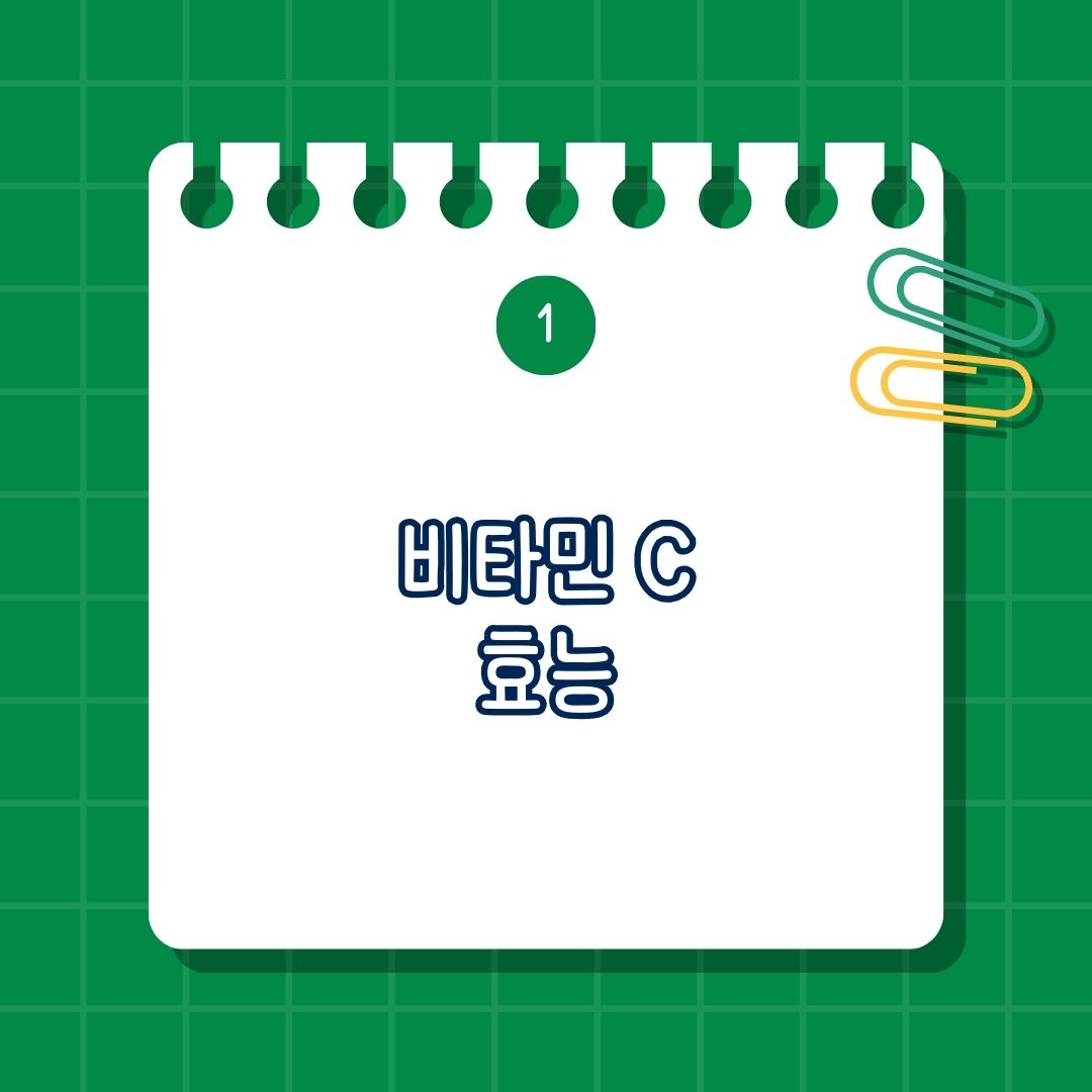 비타민 C(Vitamin C, 비타민 씨) 효능