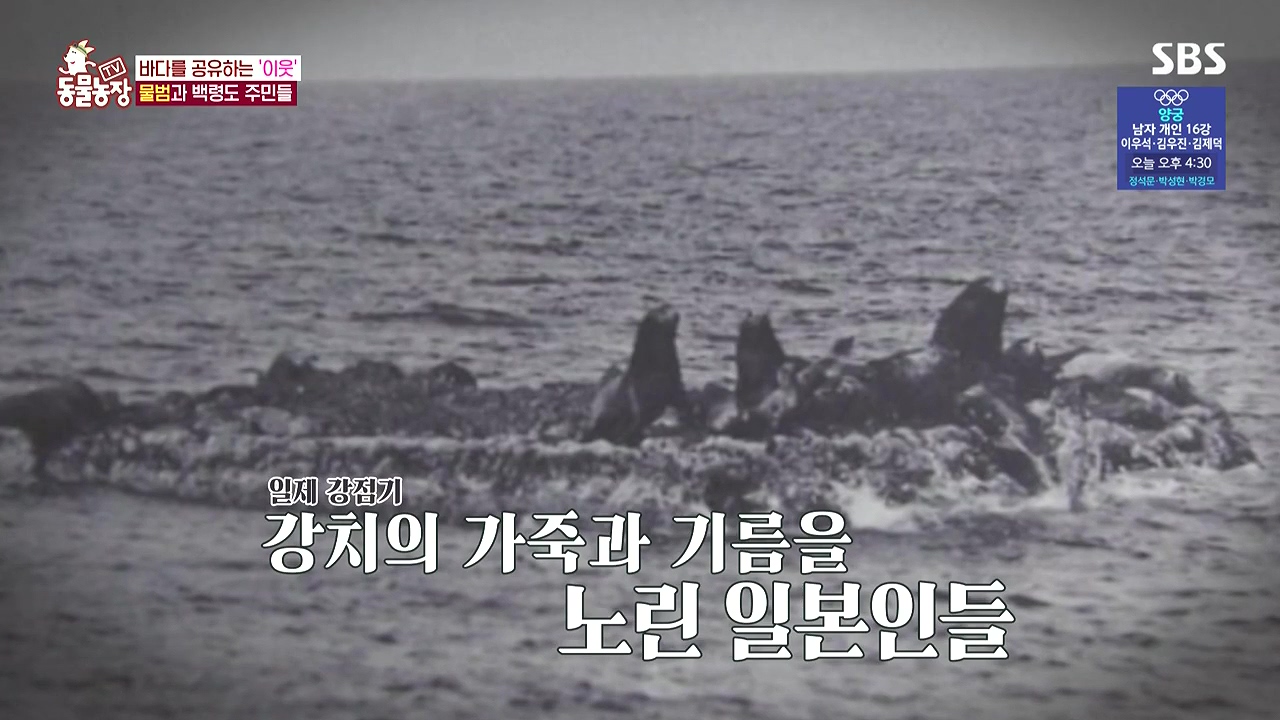 TV 동물농장.E1183.240805p-NEXT.mp4_20240804_154447.944.jpg