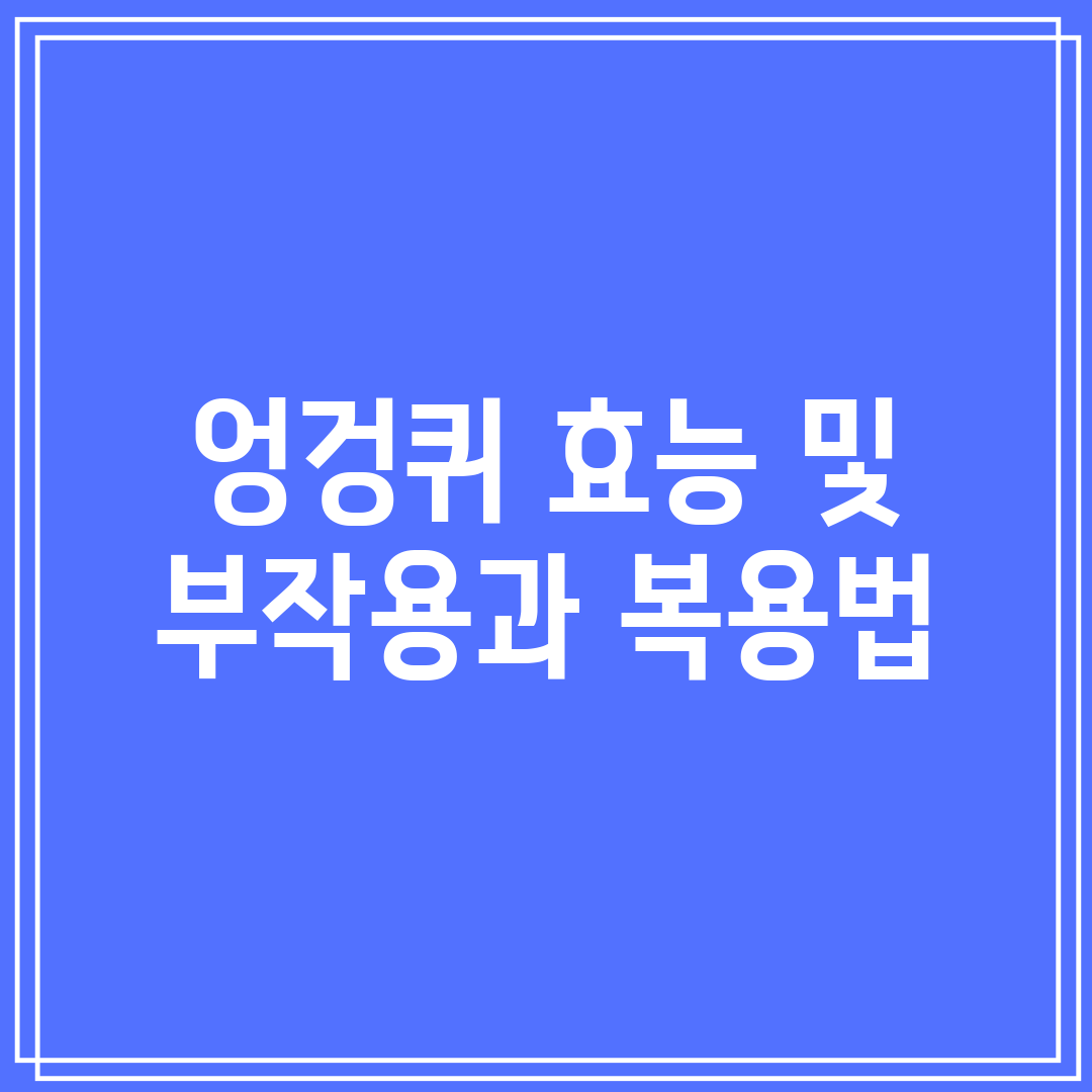 엉겅퀴 효능 및 부작용과 복용법