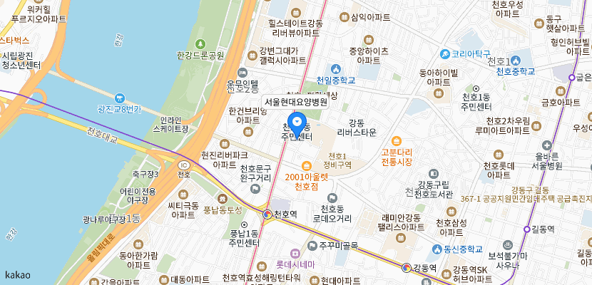 서울현대요양병원 위치