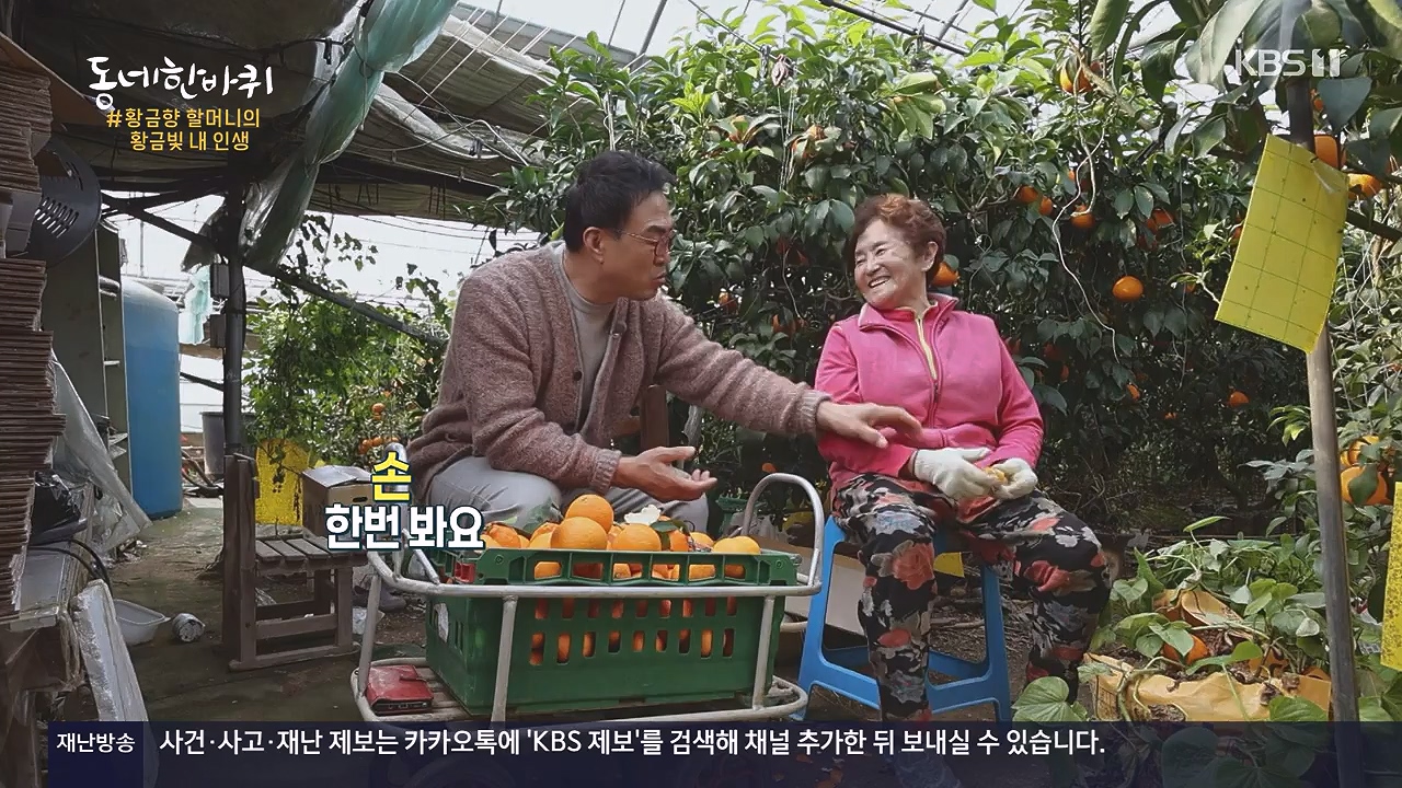동네 한 바퀴.E252.231217p-NEXT.mp4_20231218_205725.065.jpg