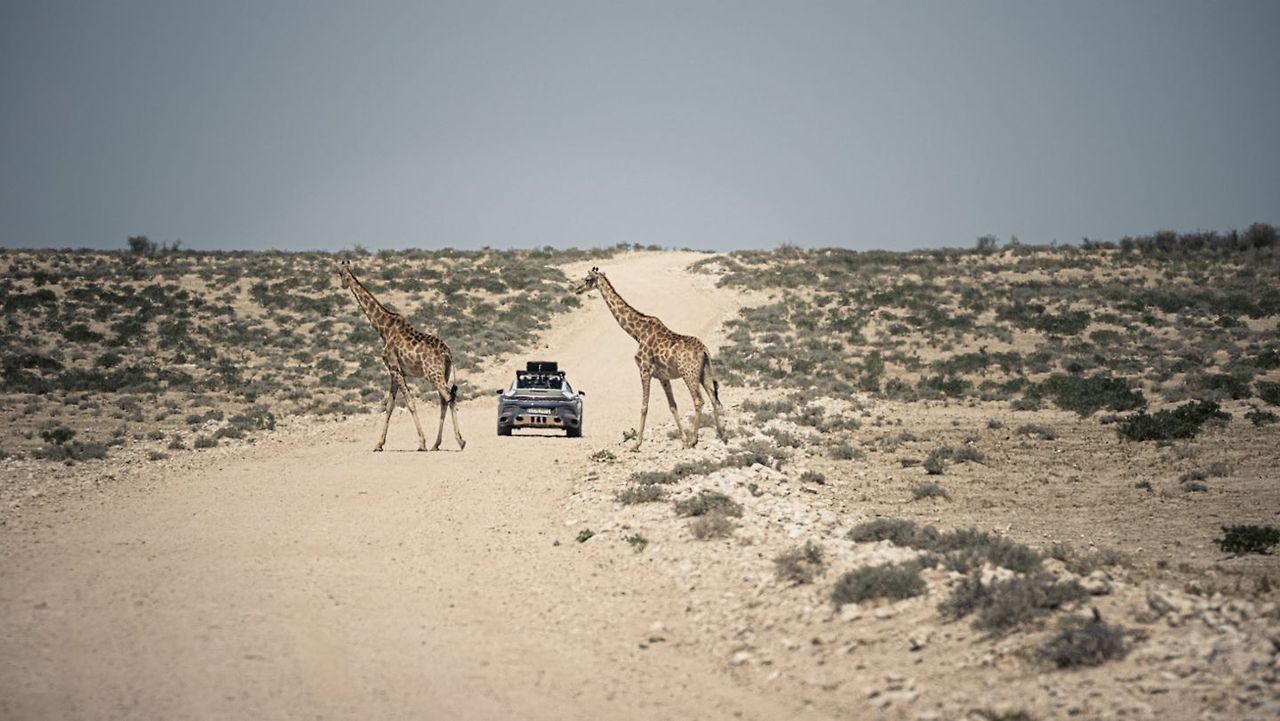 Welcome to the adventure: Camp Porsche 911 Namibia 21 img https://mobilityground.com/wp-content/uploads/2024/09/3-1-2.jpg