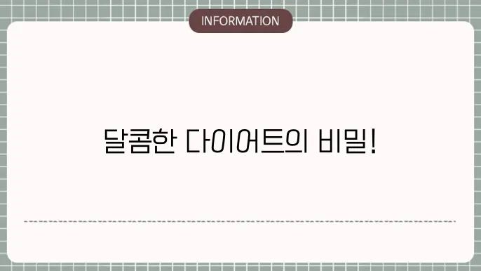 다이어트 디저트
