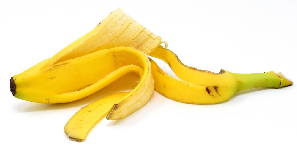 음식물 쓰레기 재활용 : 바나나 껍질