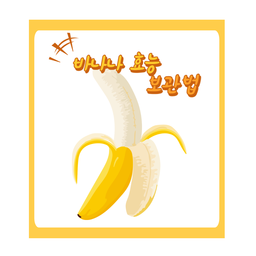  바나나 효능과 올바른 보관법