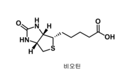 비오틴 입자 사진