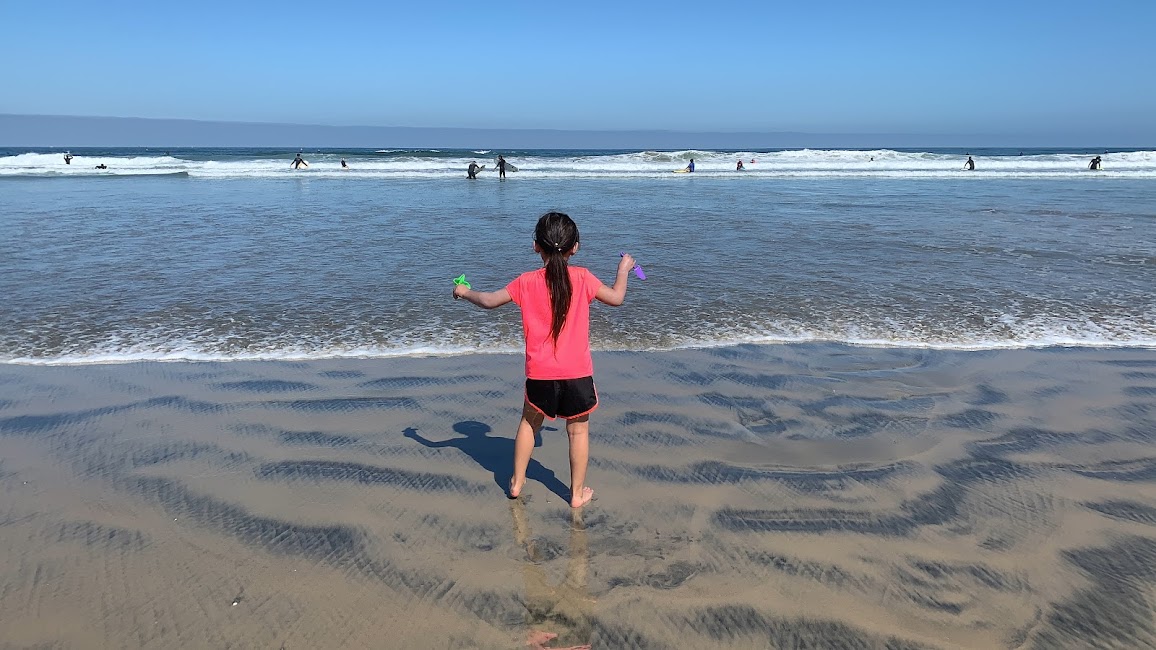  샌디에고 라호야 비치 La Jolla Beach