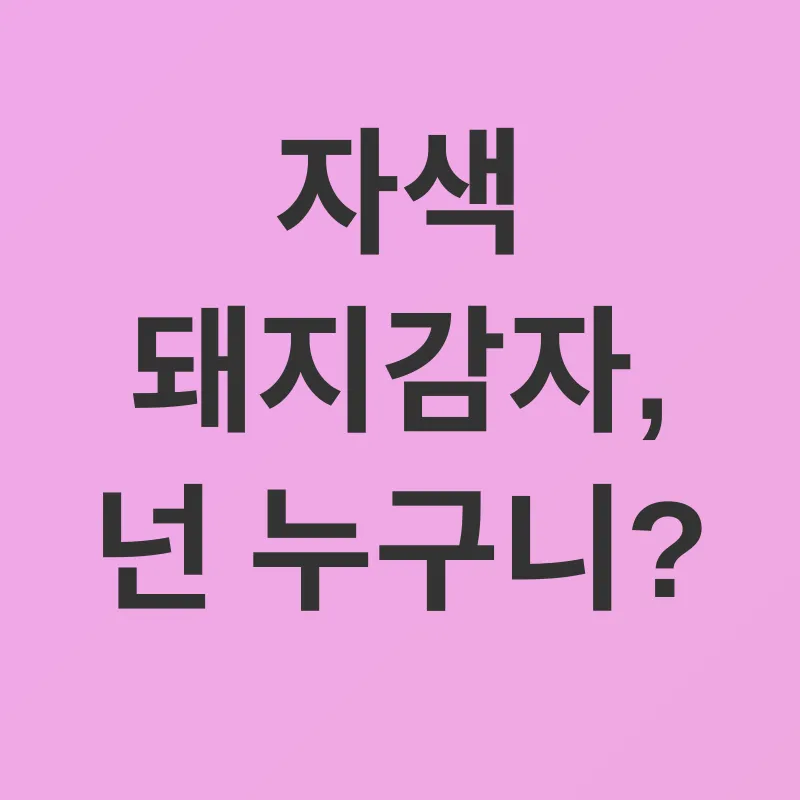 자색돼지감자_1