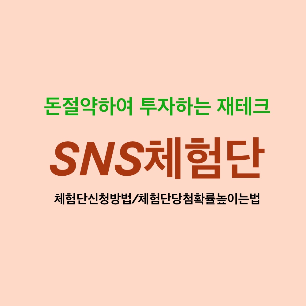 돈 절약하는 방법_SNS 체험단(블로그/인스타)_체험단신청/활용/당첨확률높이는법, 재테크