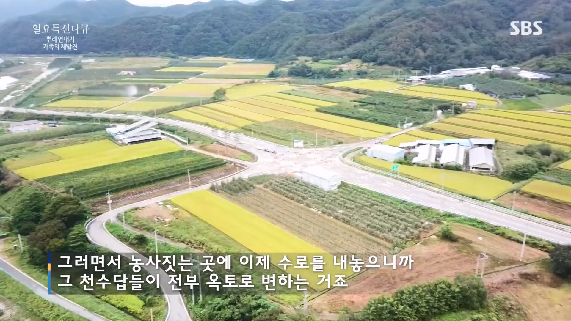일요 특선 다큐멘터리.E327.231105p.H264-F1RST.mp4_20231105_165423.701.jpg