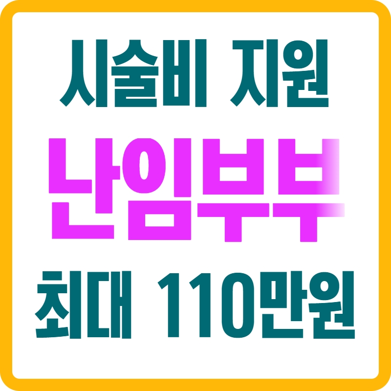 난임부부 시술비 지원 최대 110만원