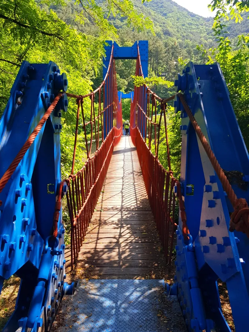 창원 비음산