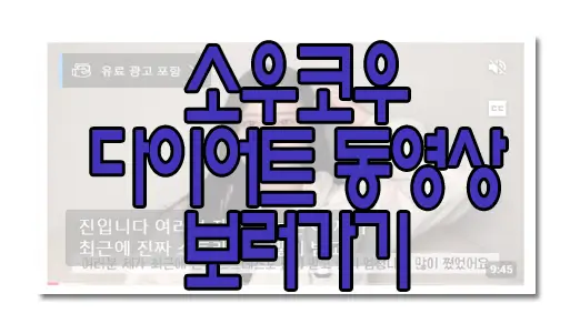 소우코우 다이어트 내돈내산에 관련한 동영상 보러 가기 링크 사진