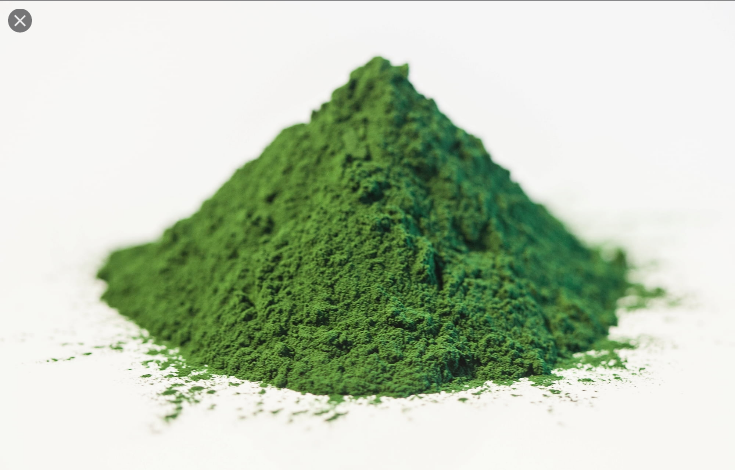  클로렐라 (CHLORELLA) 효능 부작용 섭취법 알고 가세요.