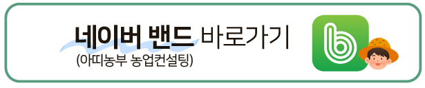 최고 작황 속 옥수수 재배 어떻게 재배했나 2