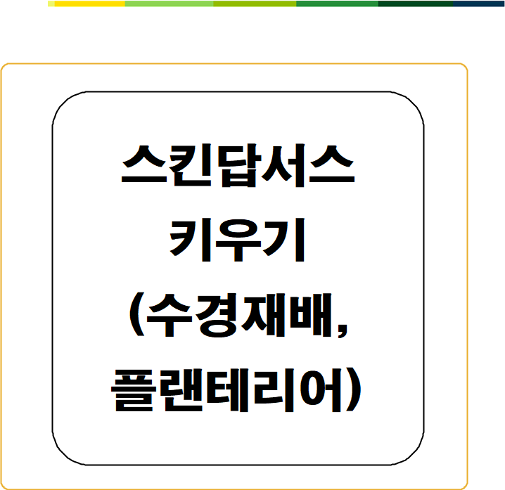  척박한 환경에서 스킨답서스 키우기(수경재배, 실내공기 정화 식물, 플랜테리어, 반려식물)