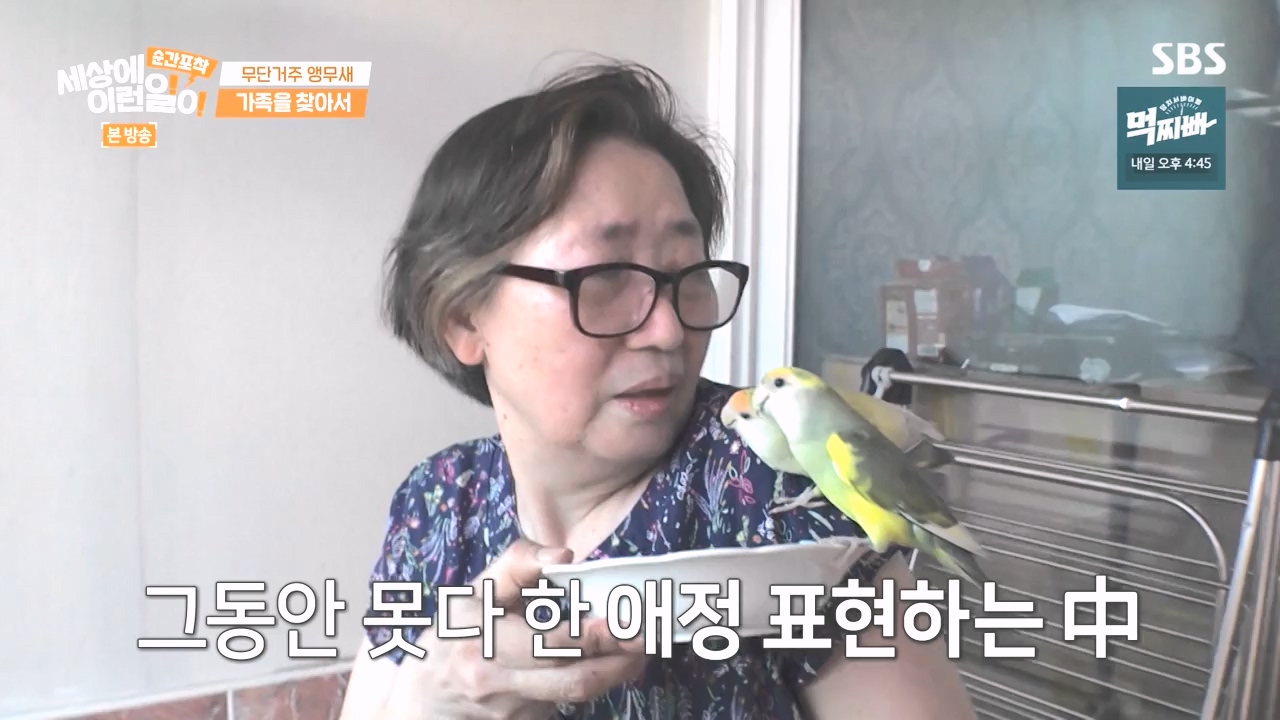 순간포착 세상에 이런일이.E1248.231015p-NEXT.mp4_20231015_164755.094.jpg