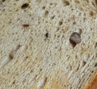 구원자 30대피부 갓성비 화장품 ::썬로이화장품::오래된식빵 같은 내 피부의 10