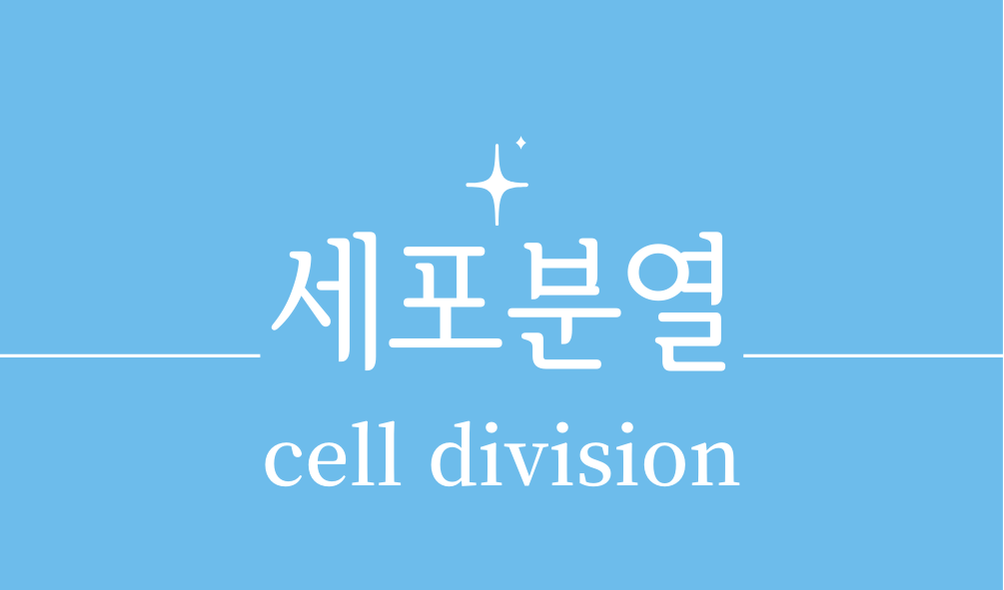 '세포분열(cell division)'