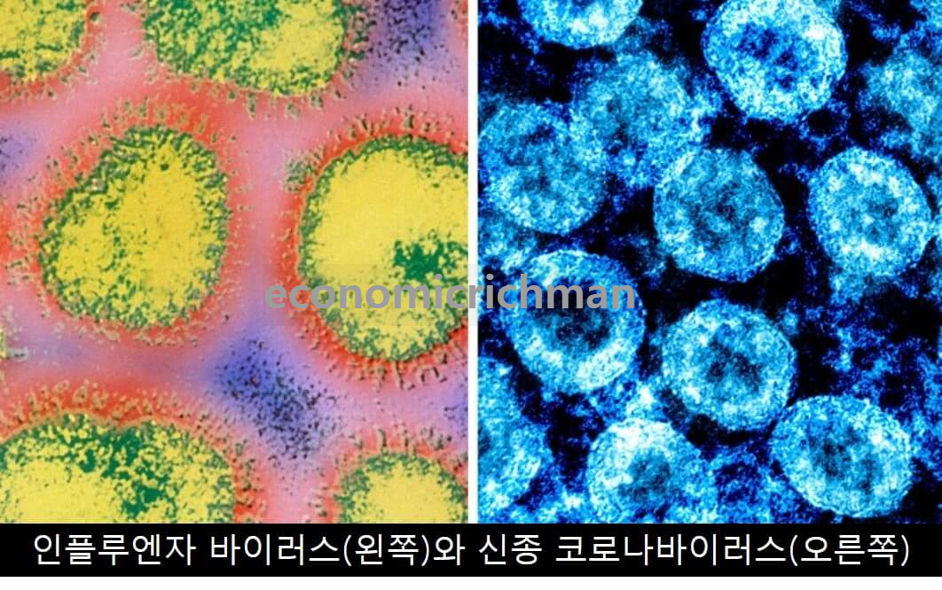 인플루엔자와 코로나 바이러스 차이점 사진