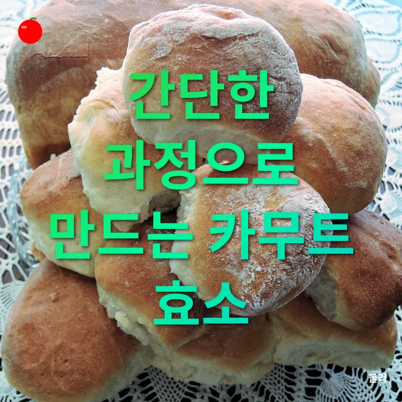 카무트 효소_2