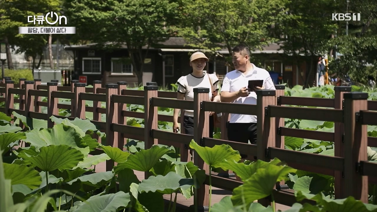 다큐 온.E208.230730p-NEXT.mp4_20230802_202539.955.jpg