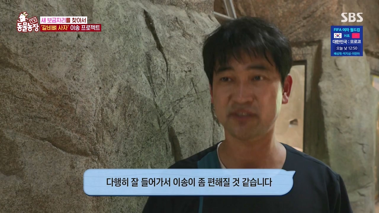 TV 동물농장.E1131.230731p-NEXT.mp4_20230730_191002.740.jpg