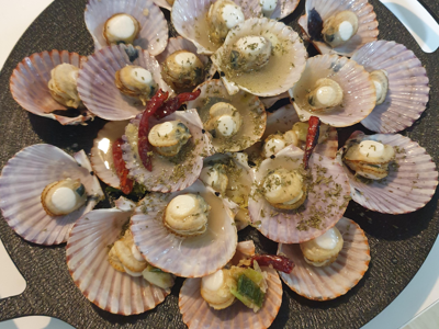 가리비 효능 10가지 33