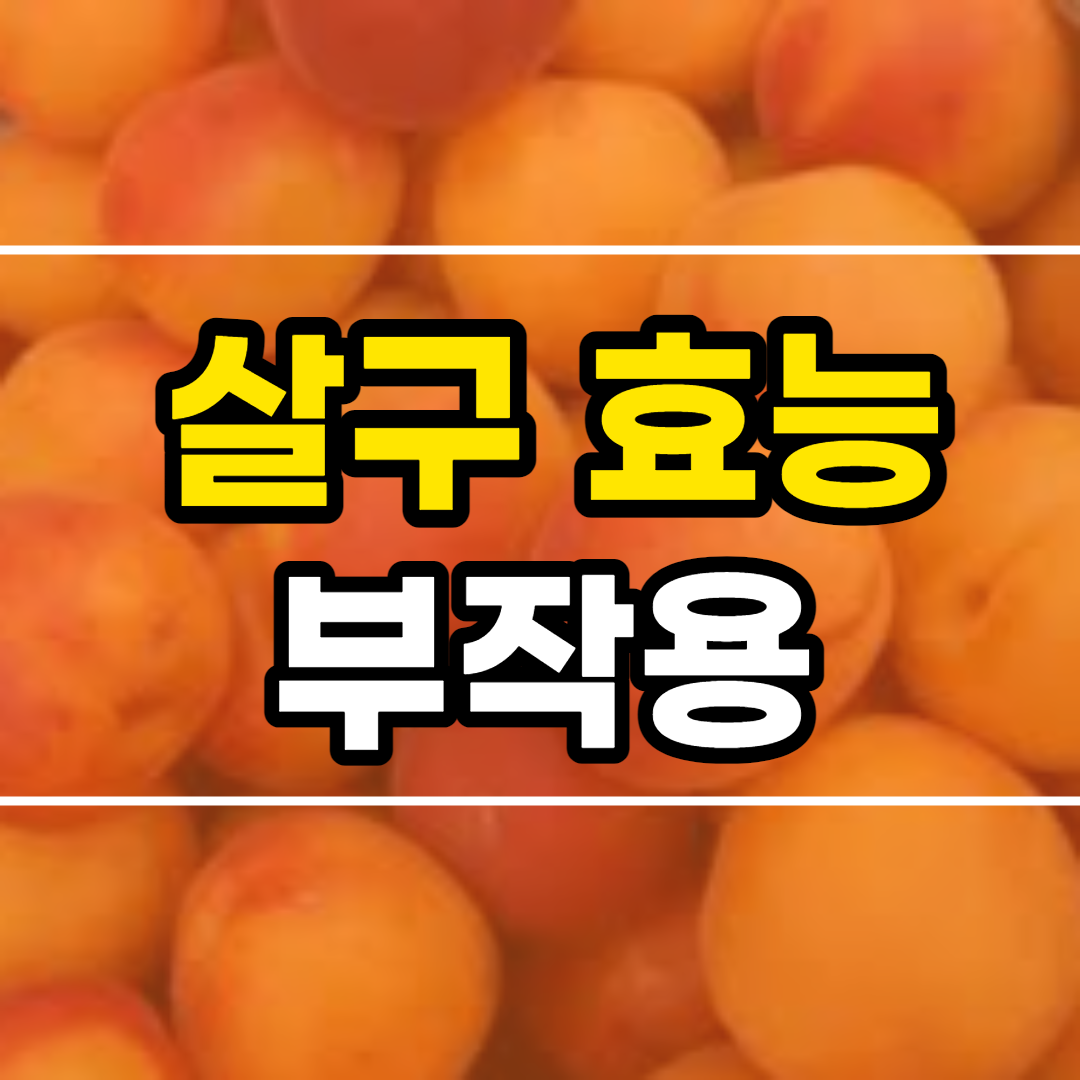  살구 효능 10가지와 부작용
