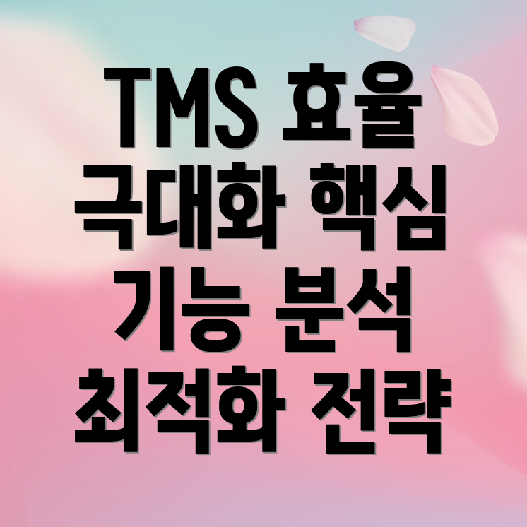 사업용 트럭 TMS 효율 활용법 핵심 기능 & 최적화 전략