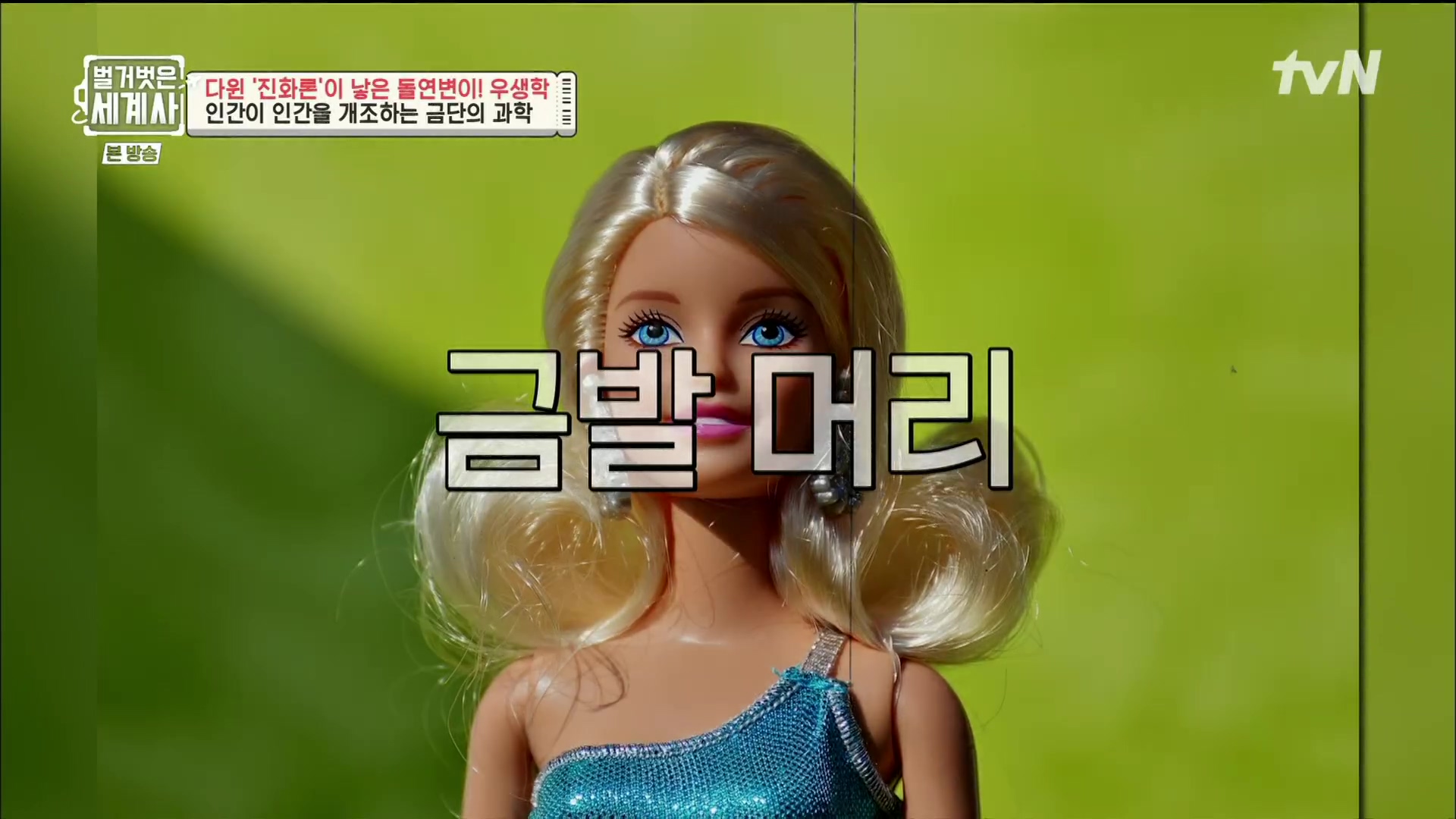 벌거벗은 세계사.E97.230502p.H264-F1RST.mp4_20231224_162000.297.jpg