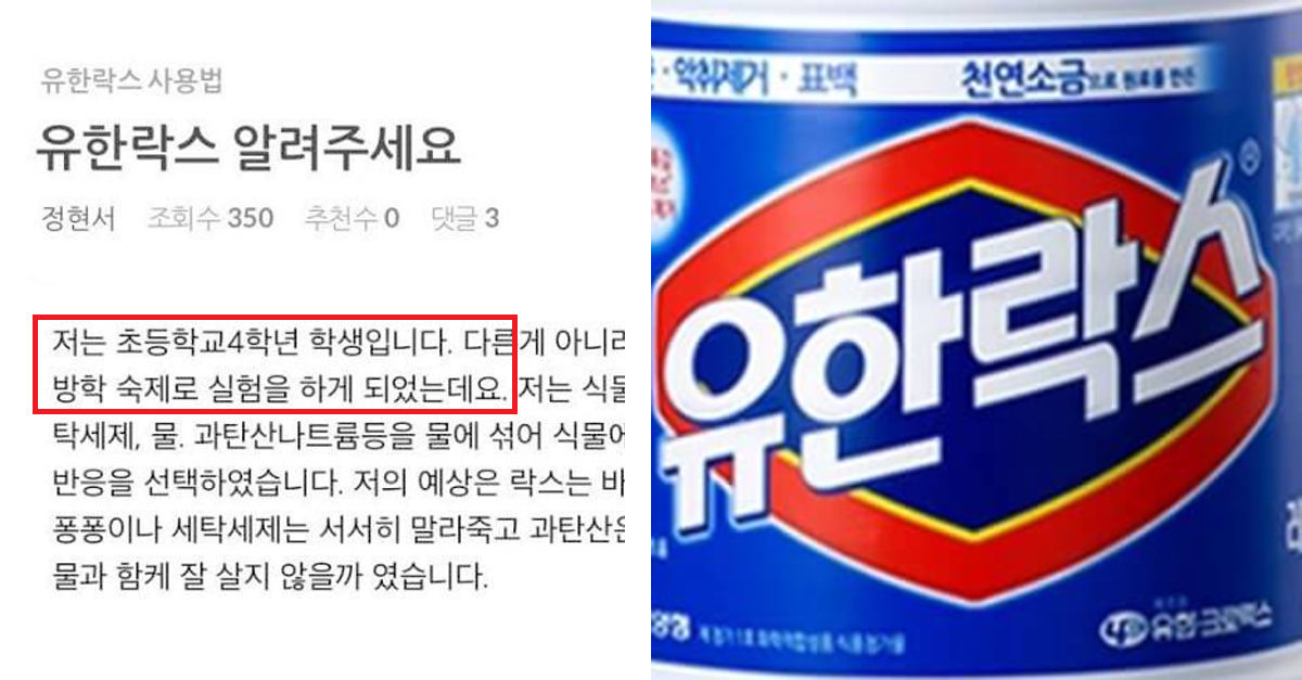  초등학교 4학년이 유한락스에 던진 질문과 받은 답변