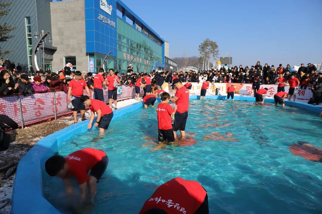 2023 평창송어축제 [출처: 인스타그램]